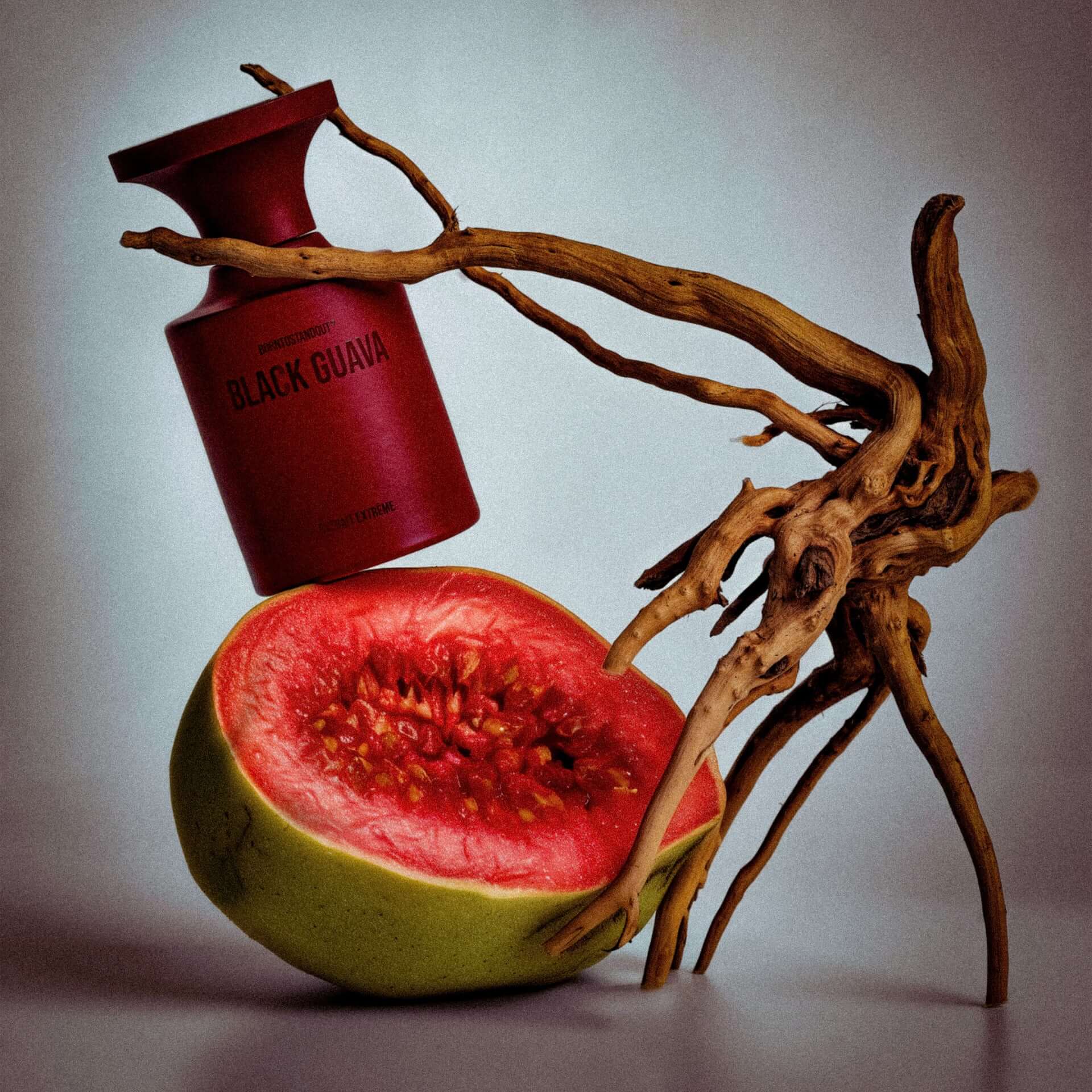 BLACK GUAVA - BORNTOSTANDOUT - Image 2