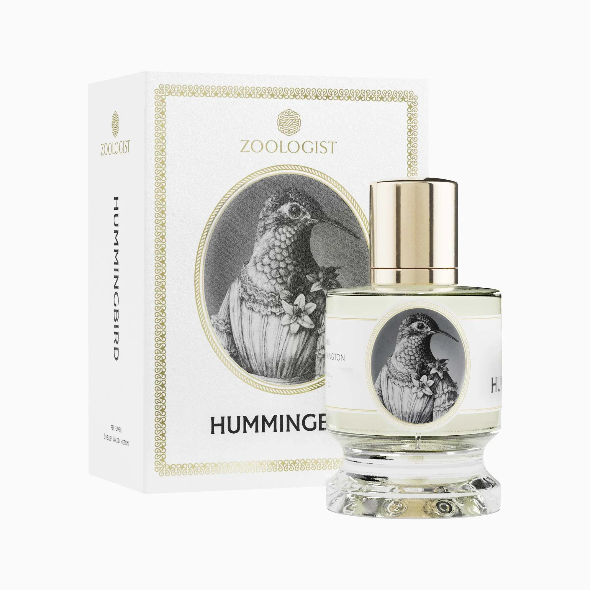 HUMMINGBIRD - ZOOLOGIST - Image 2