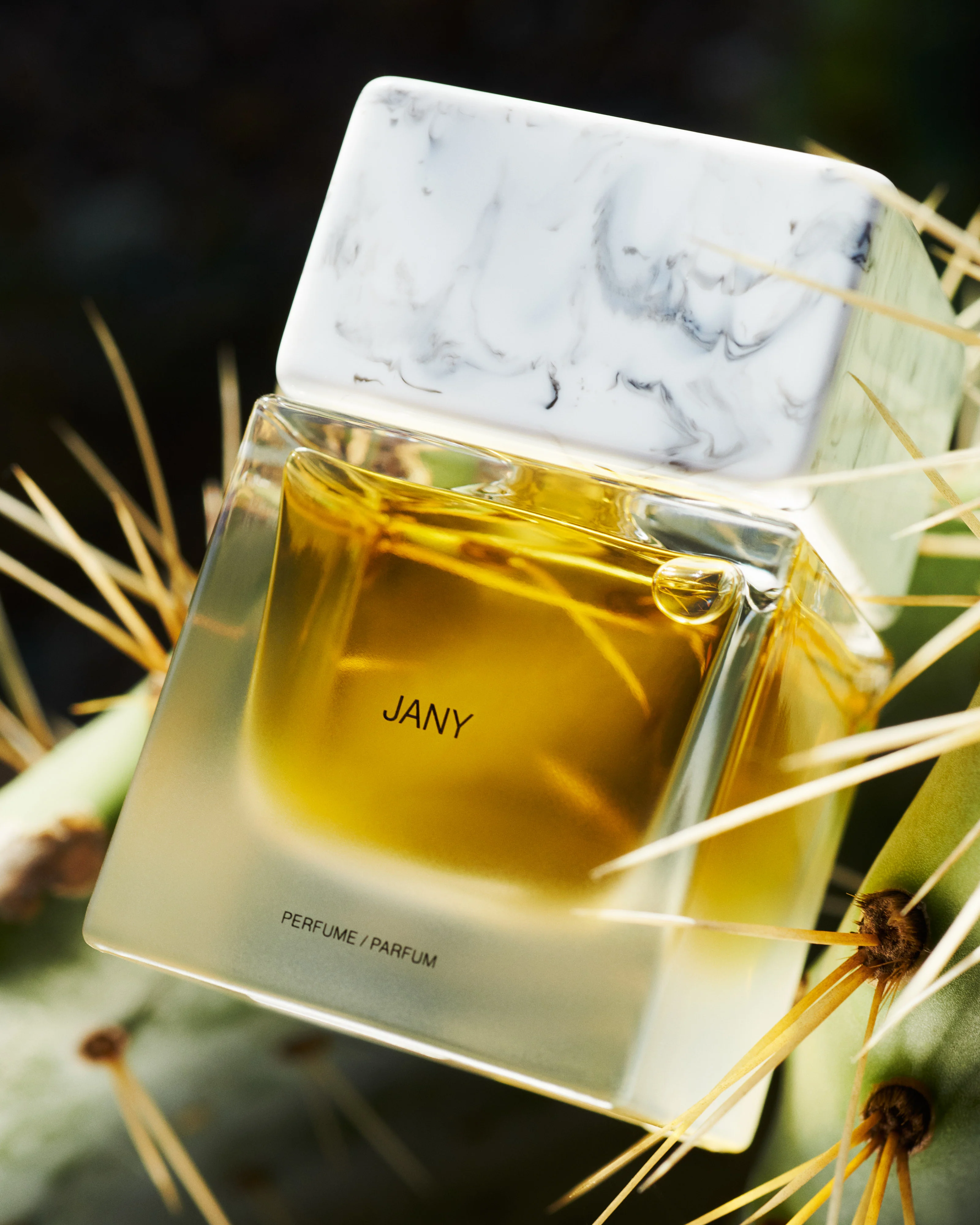 JANY - SORADORA - Image 7
