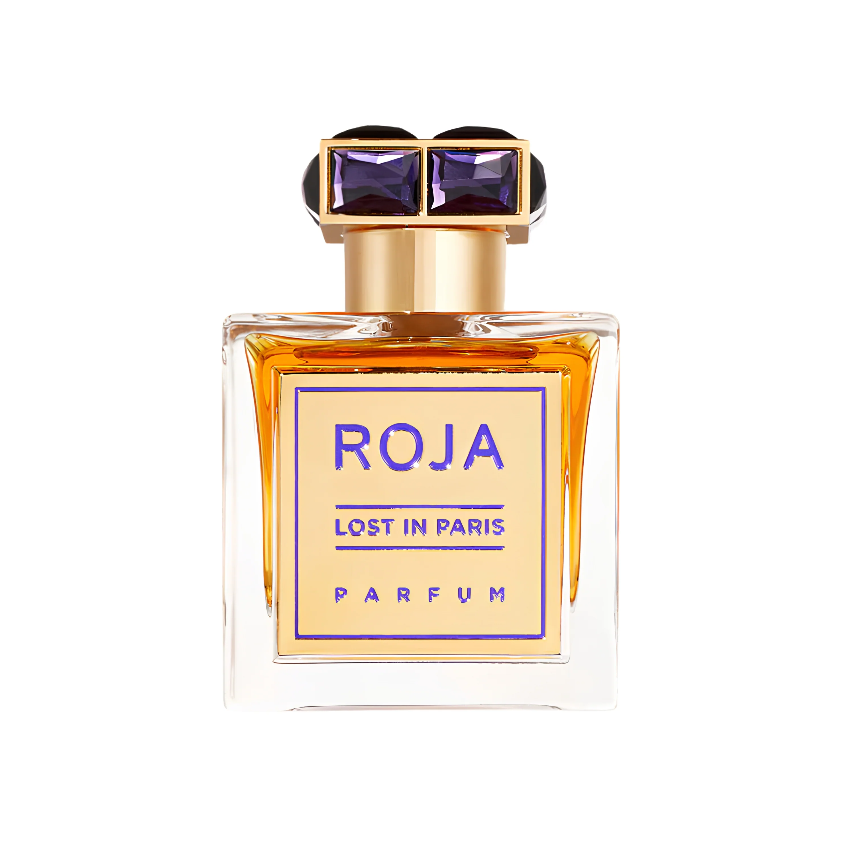 LOST IN PARIS - ROJA