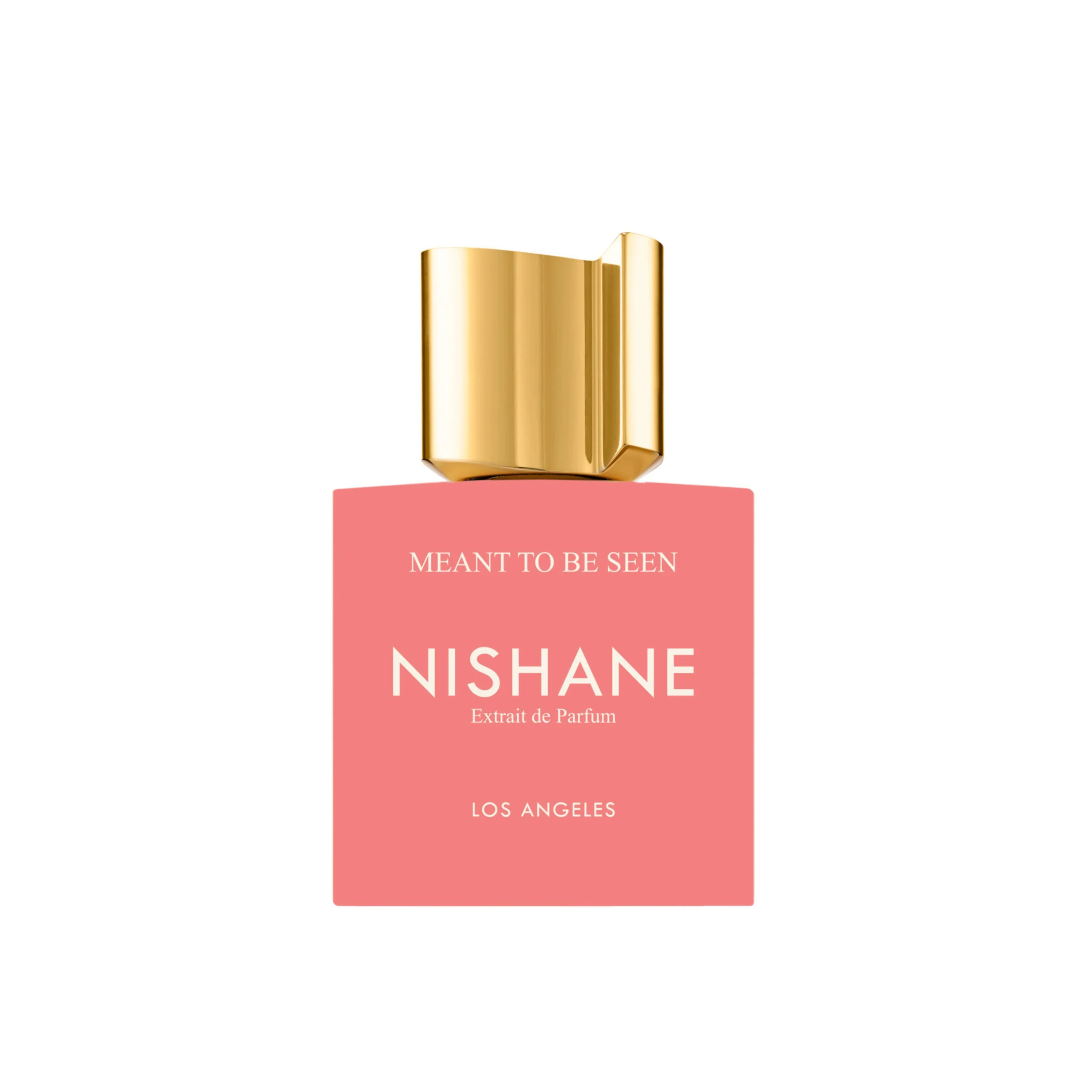 MEANT TO BE SEEN - NISHANE