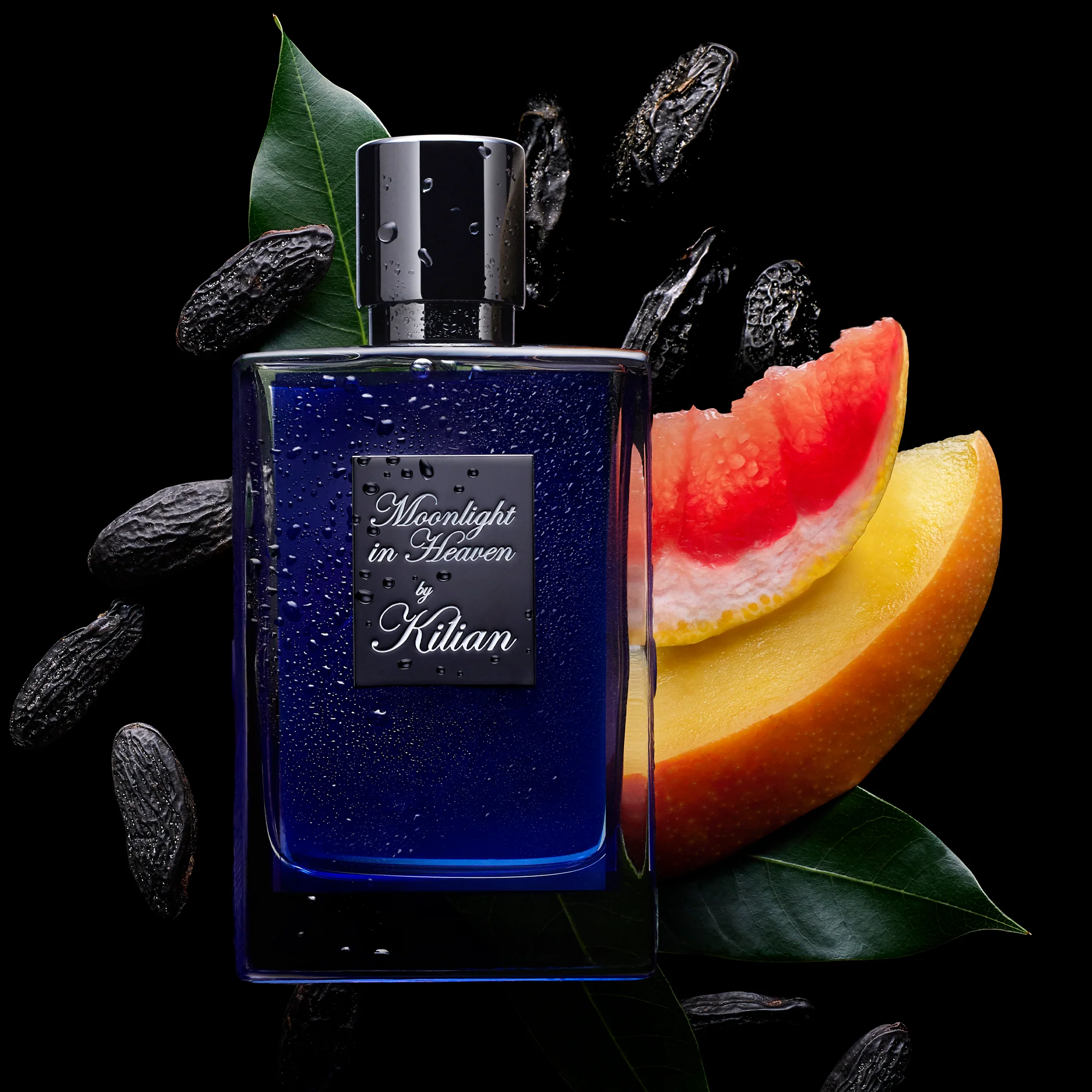 MOONLIGHT IN HEAVEN - KILIAN - Image 6
