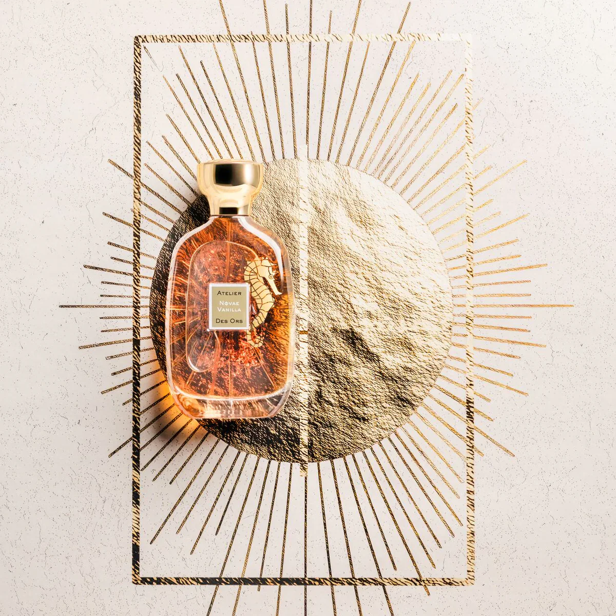 NOVAE VANILLA - ATELIER DES ORS - Image 2