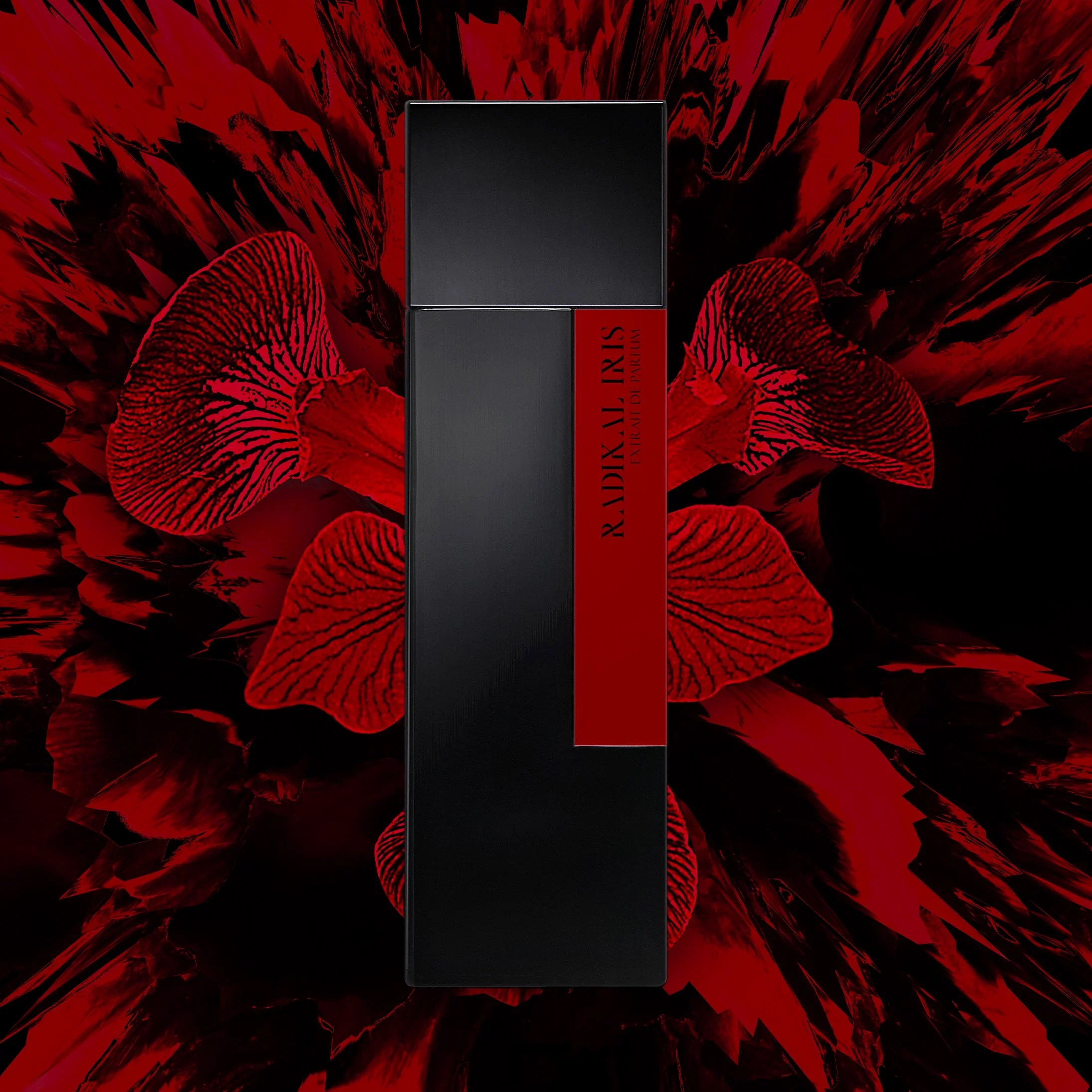 RADIKAL IRIS - LAURENT MAZZONE - Image 2