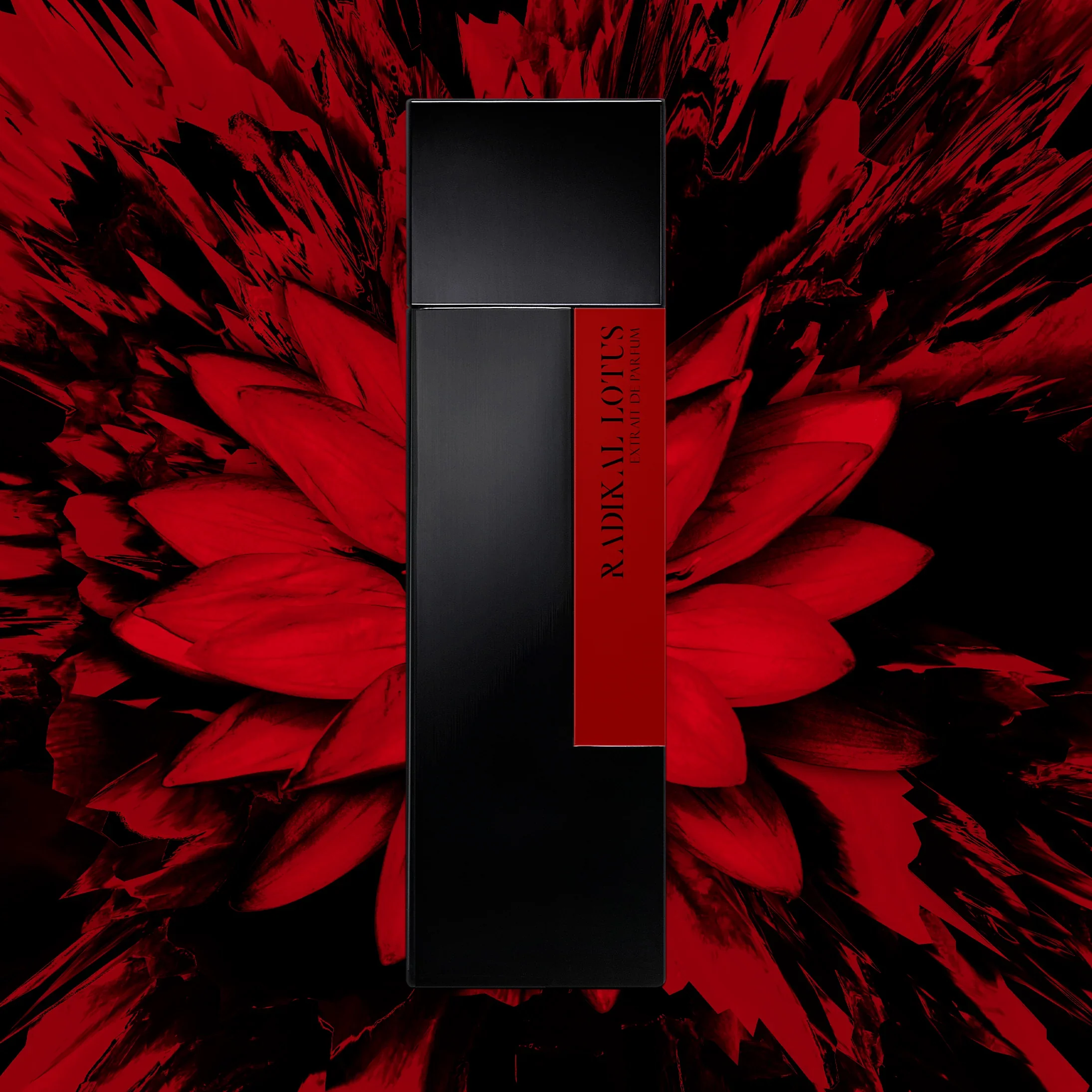 RADIKAL LOTUS - LAURENT MAZZONE - Image 2