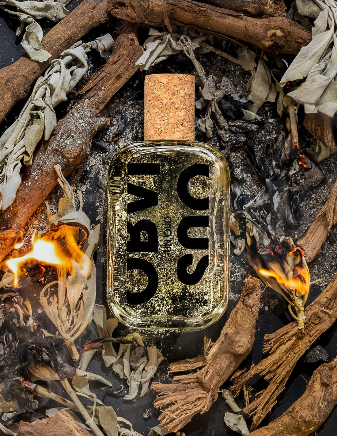 UN OUD - OBVIOUS - Image 2